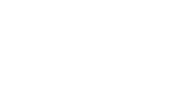 에볼루션 게이밍 logo