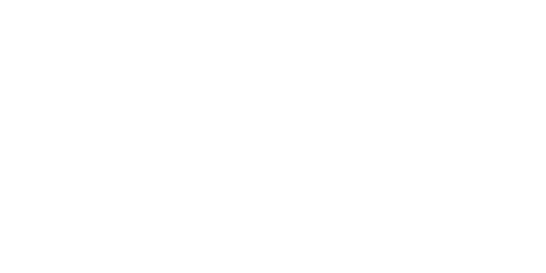 레드타이거 logo